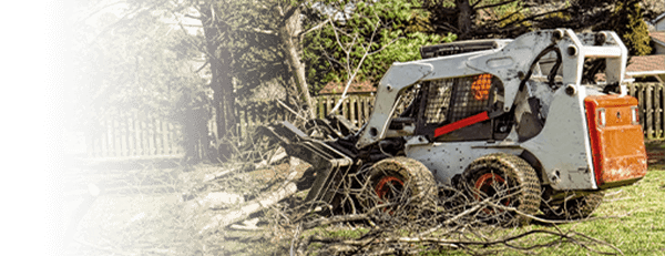 Bobcat Skid Steer